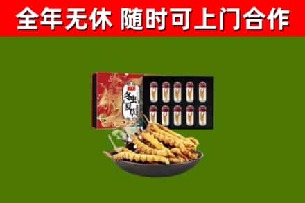 铜山回收冬虫夏草价格